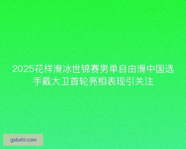 2025花样滑冰世锦赛男单自由滑中国选手戴大卫首轮亮相表现引关注
