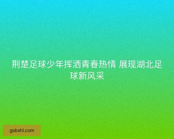 荆楚足球少年挥洒青春热情 展现湖北足球新风采